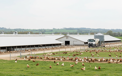 Poultry Farm for Sale in West Java