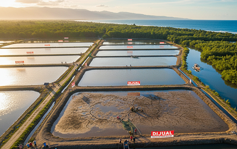 Land Owner Looking for Business Proposal